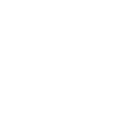 Software Development